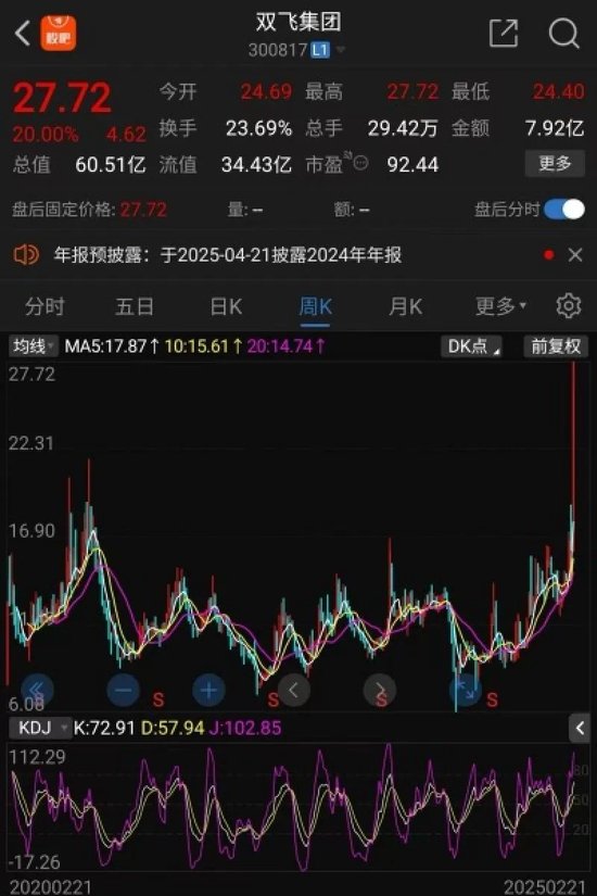 连续两个“20cm涨停”！双飞集团股价创历史新高，1.35万股民嗨了  第1张